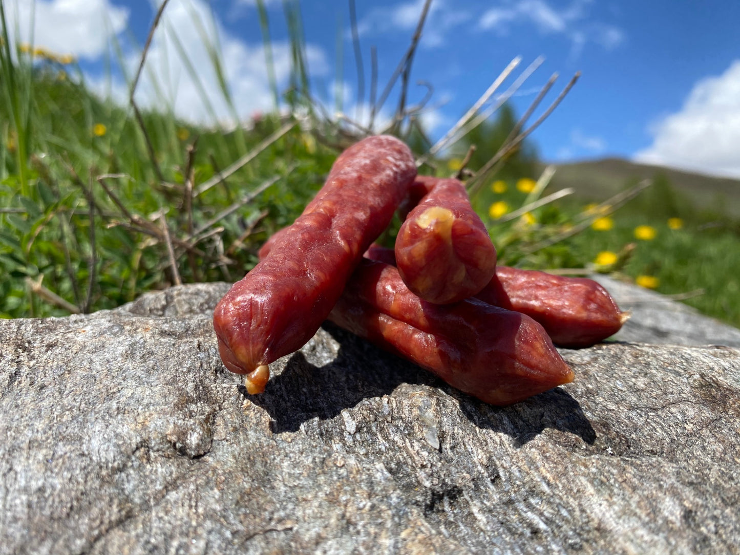 Hirschknebeli