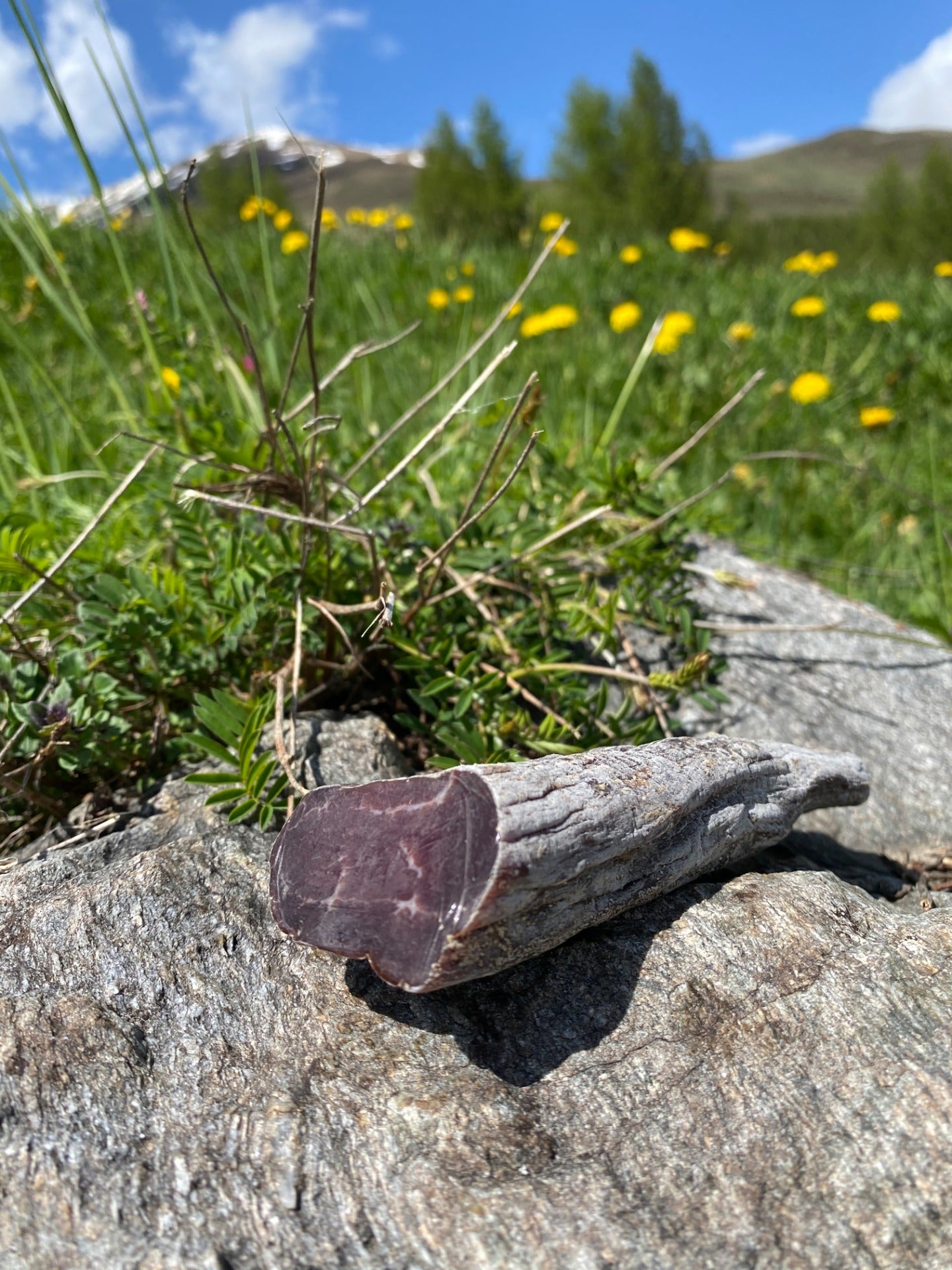 Hirschschinken luftgetrocknet